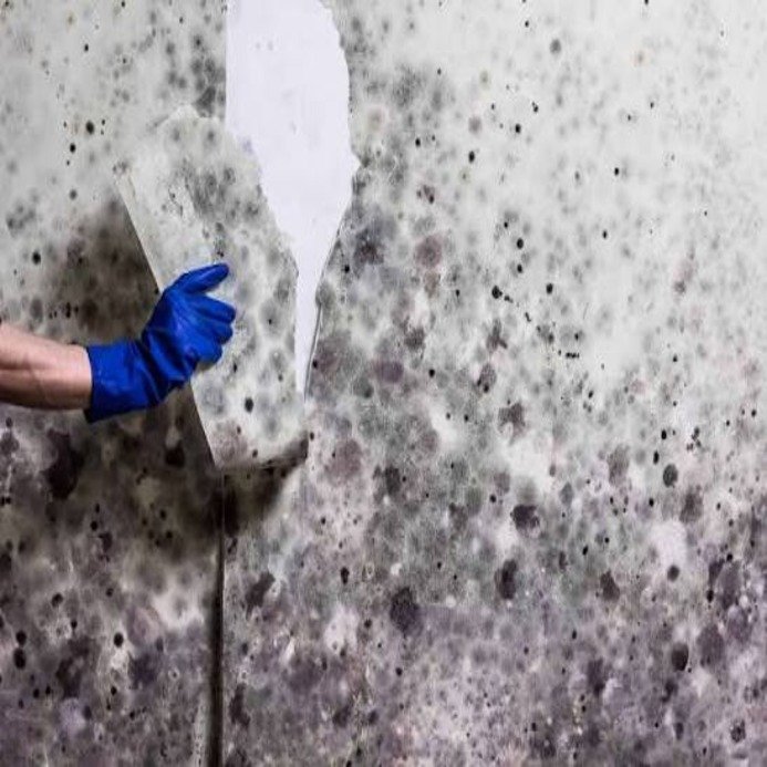 REVO cleaning company