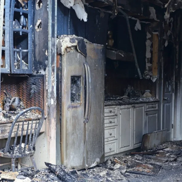 destroyed by a fir