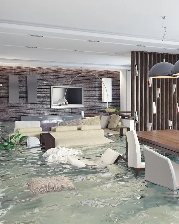 flood restore